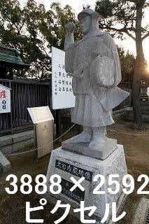 53