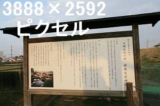 54