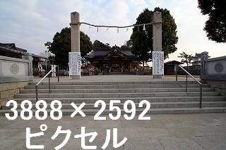 63
