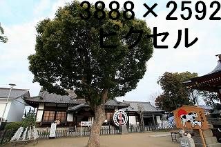 72