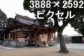 76