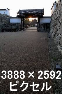 26