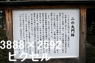 29