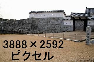 36