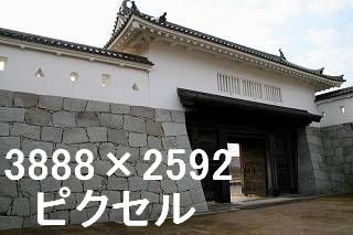 39