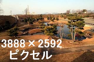 48