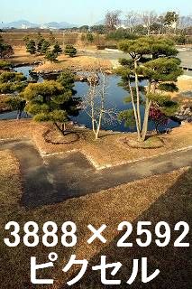 49