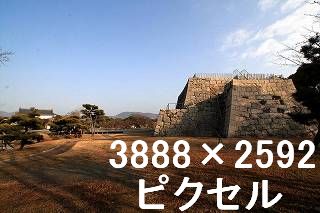 51