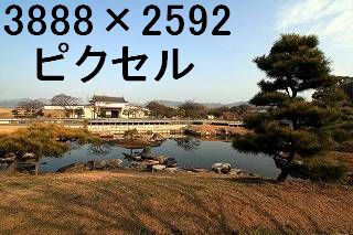 52