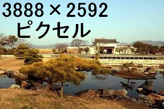 53