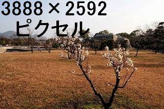 58