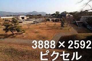 64