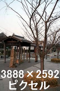 26