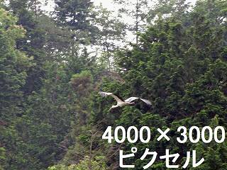 49