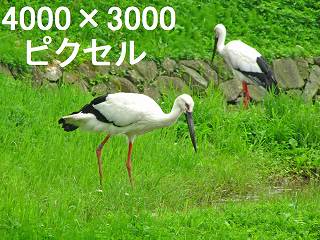 80
