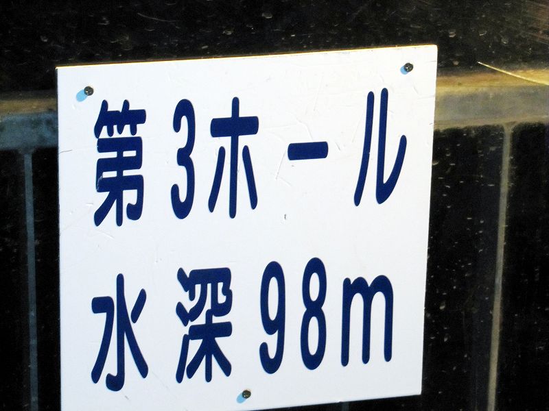 46