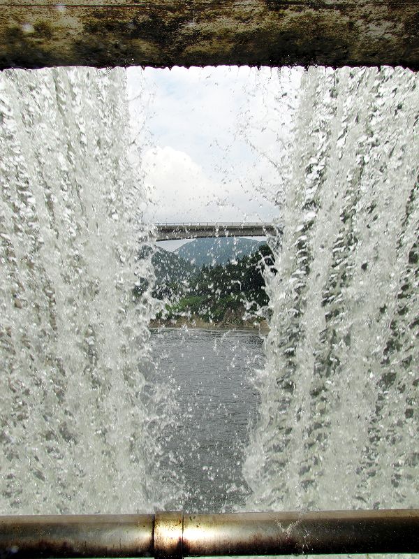 54