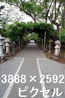 23