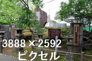 26
