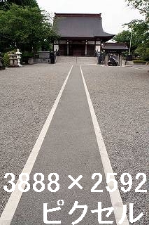 32