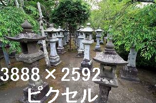 36