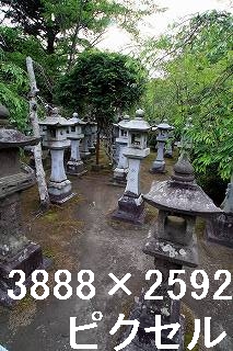 37