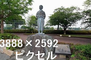 41