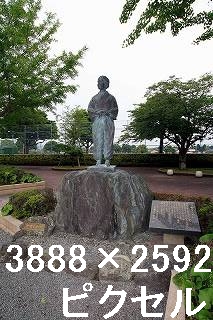 42