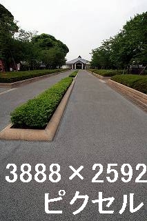 43