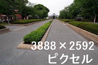 44