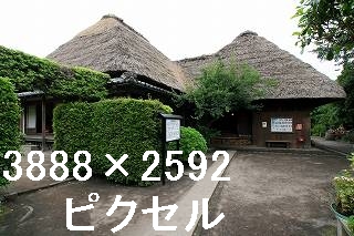 39