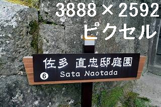 56