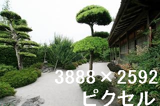 60