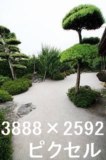 61