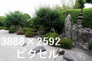 64