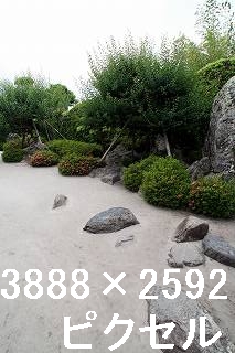 65