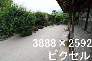 67
