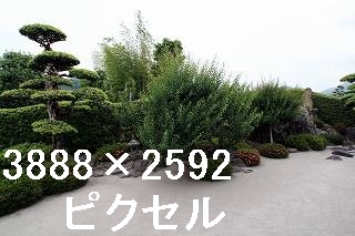 68