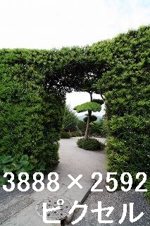 70
