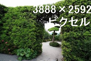 71