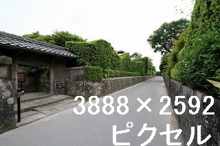 74