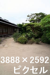 26
