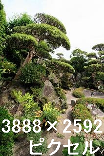 32