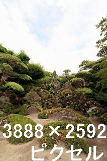 36