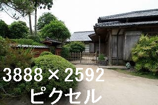 37