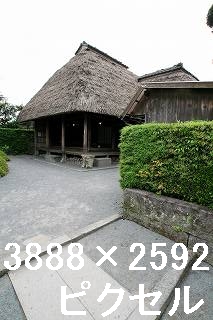 44