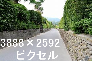 48