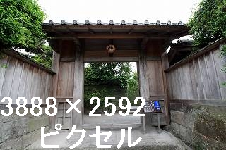 56