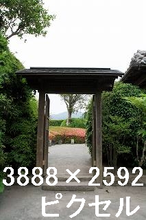 59