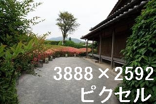 60